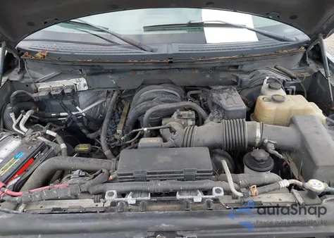 2010 Ford F-150 Xl/Xlt z USA, uszkodzony, nr VIN 1FTEW1E89AFA29293